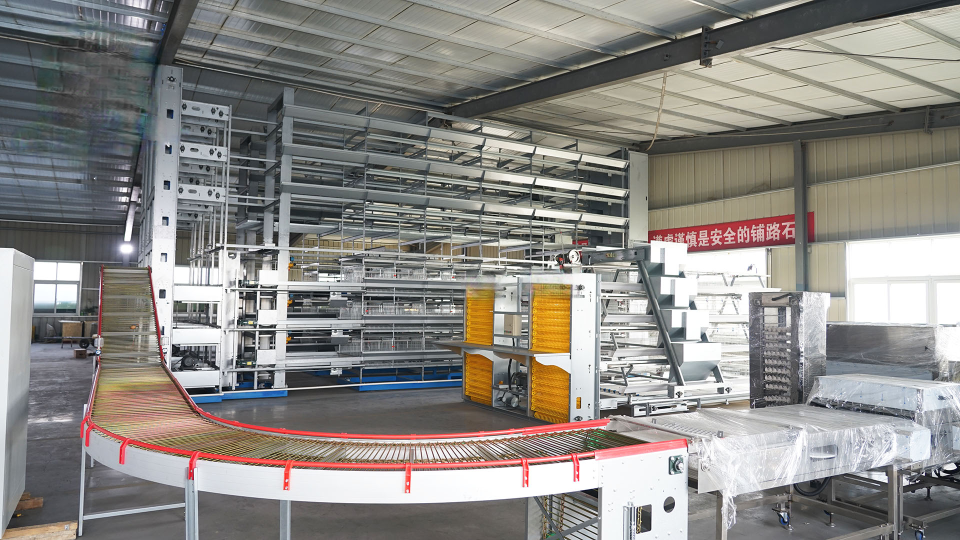 Engineering Site Readiness for a 10,000-Layer Poultry House in Nigeria: What to Verify Before Ordering Livi Poultry House Equipment