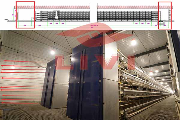 16000-layers-chicken-breeding-cages-for-sale-in-burkina-faso