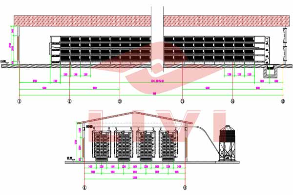 Pullet house system layout drawing with stacked cage rows
