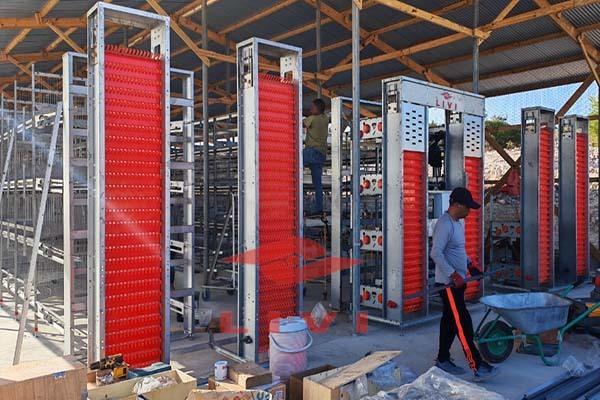 egg-collection-system