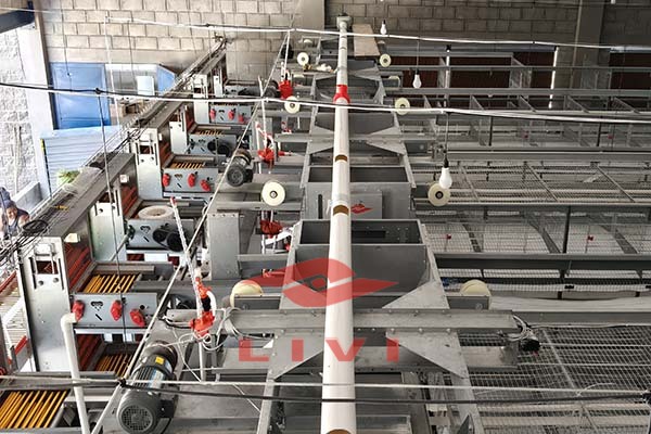 layer-battery-cages