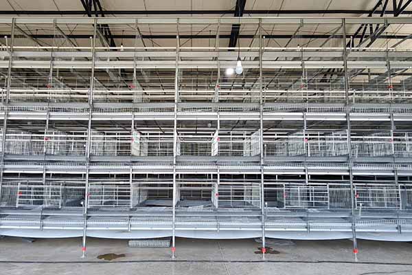 layer-chicken-cages