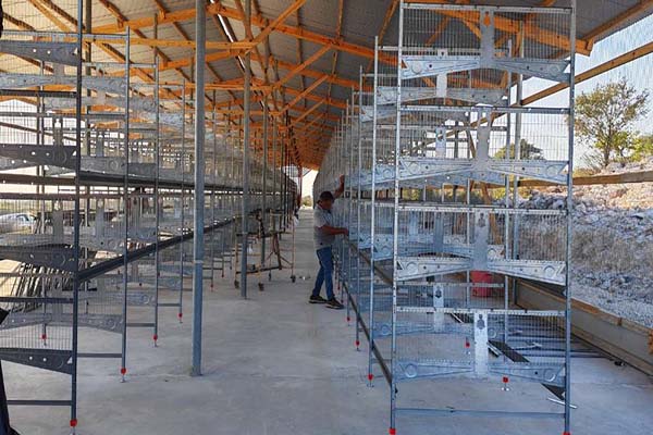 poultry battery cages for 150000 layers