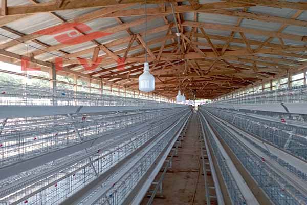 A type layer cages project