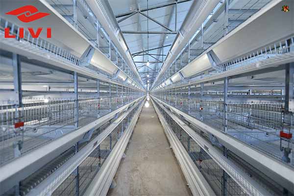 H Type Layer Cage System displayed by Livi Machinery