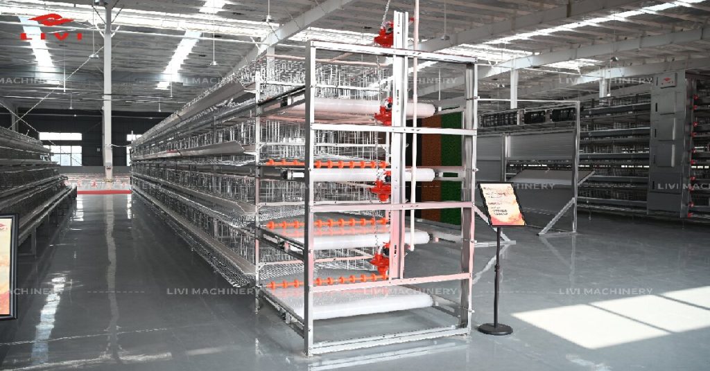 how much does a 50,000 layer farm cost in uganda