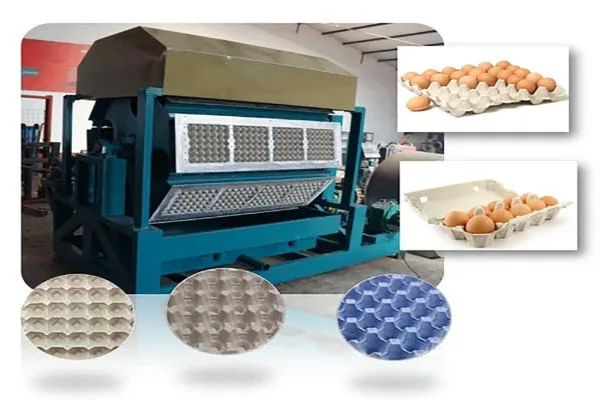 Pulp moulding machine for egg trays and cartons