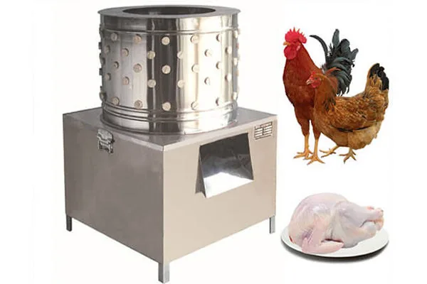 Stainless-steel poultry defeathering machine